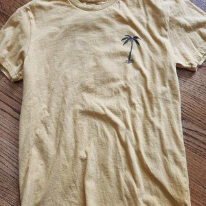 Boys Billabong T shirt